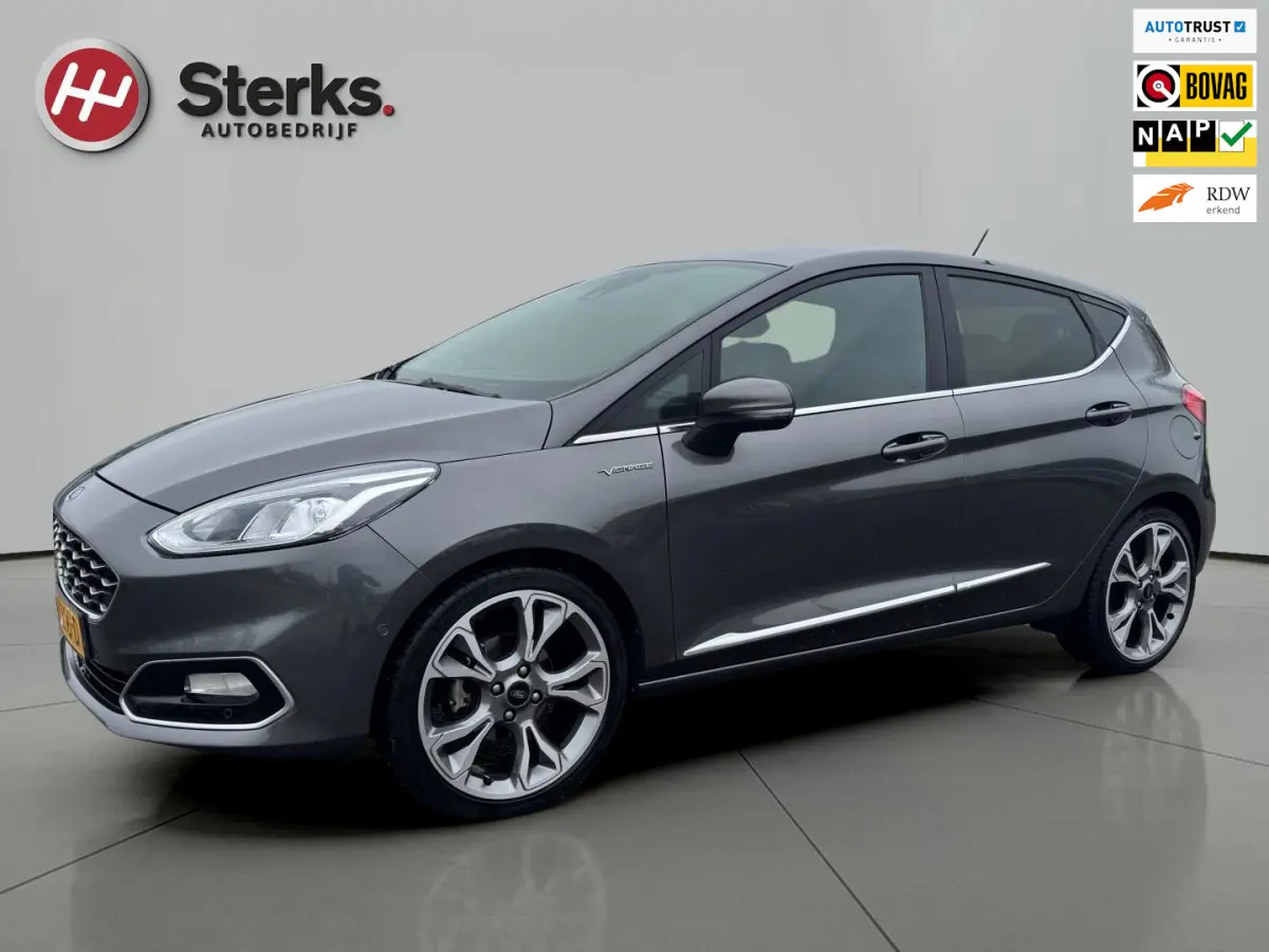 1.0 EcoBoost Vignale 125 PK WINTER PAKKET LEDER CAMERA PARKEERHULP