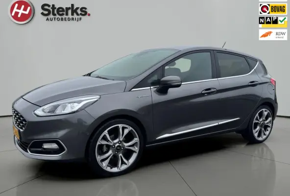 1.0 EcoBoost Vignale 125 PK WINTER PAKKET LEDER CAMERA PARKEERHULP