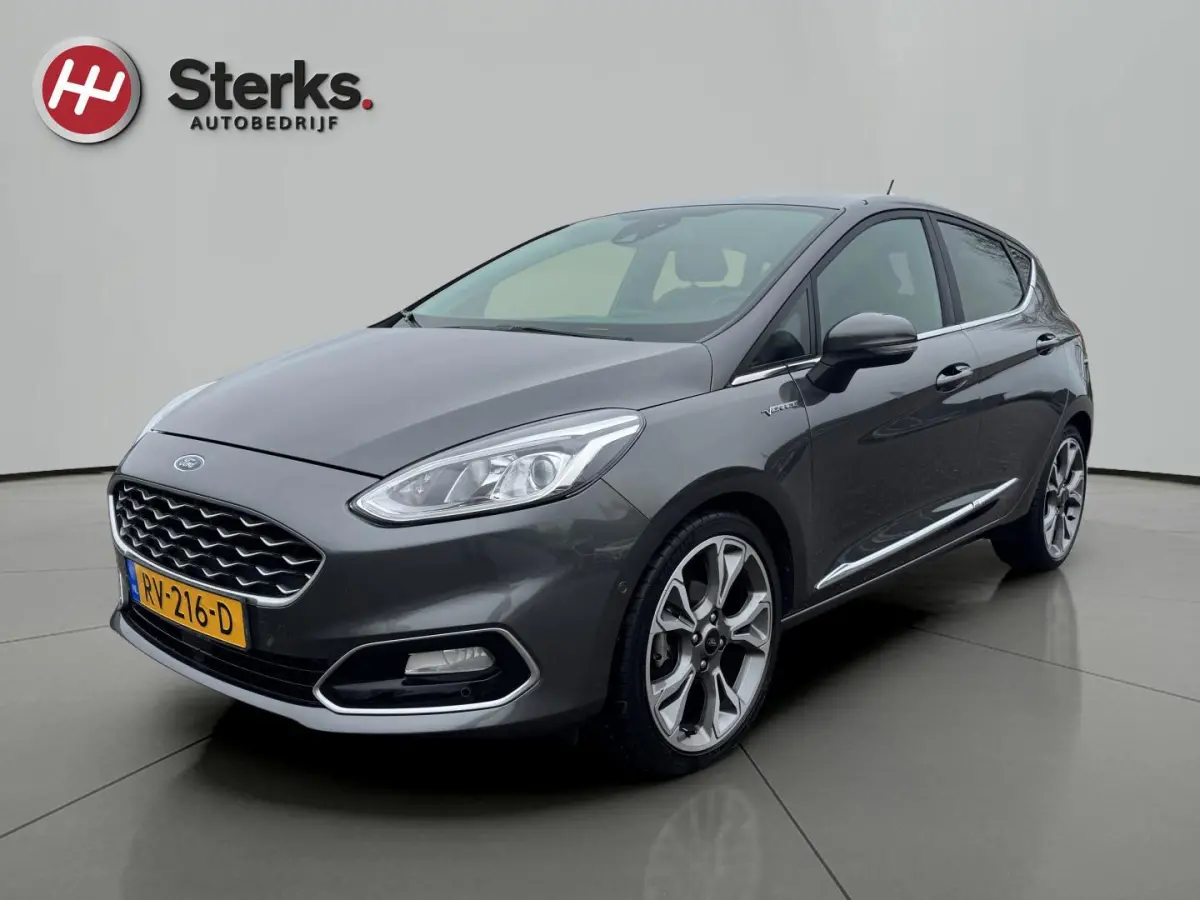 1.0 EcoBoost Vignale 125 PK WINTER PAKKET LEDER CAMERA PARKEERHULP