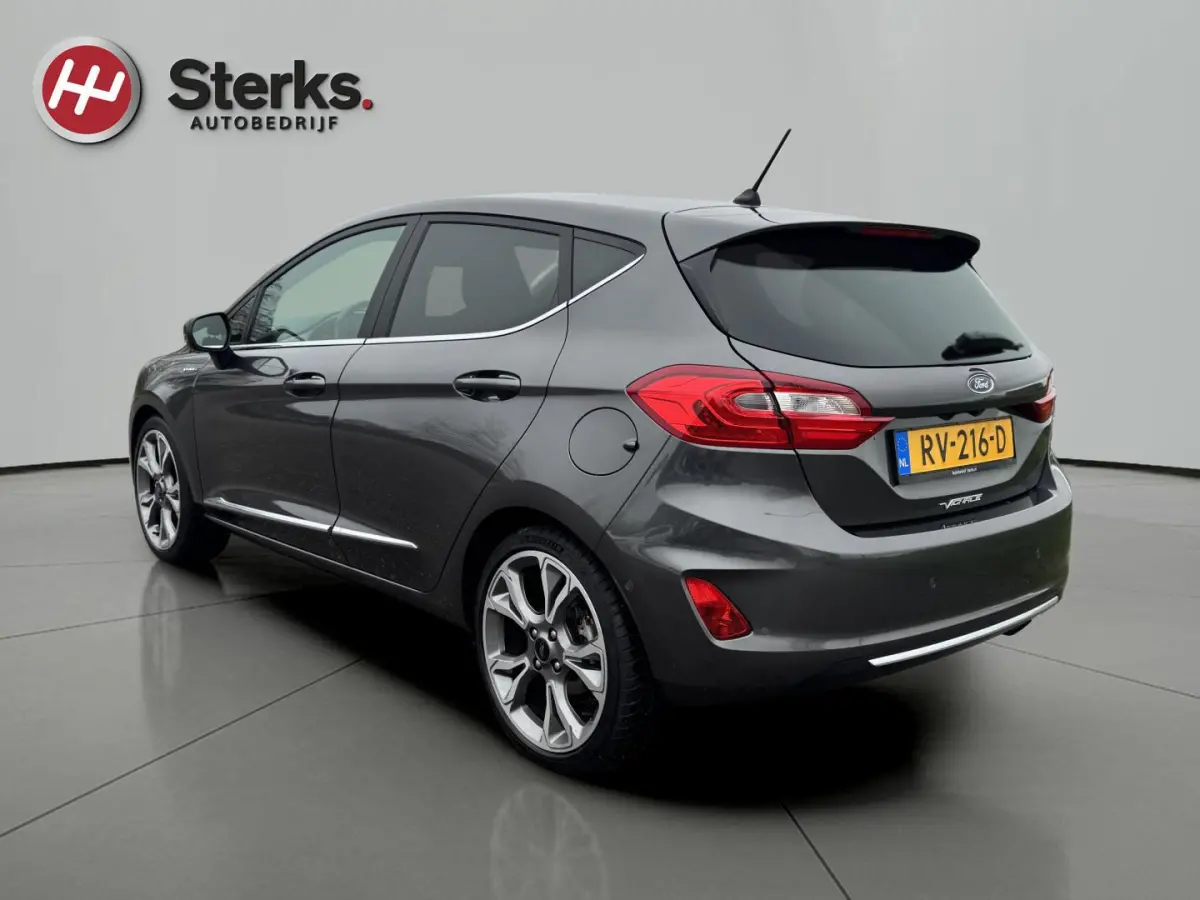 1.0 EcoBoost Vignale 125 PK WINTER PAKKET LEDER CAMERA PARKEERHULP