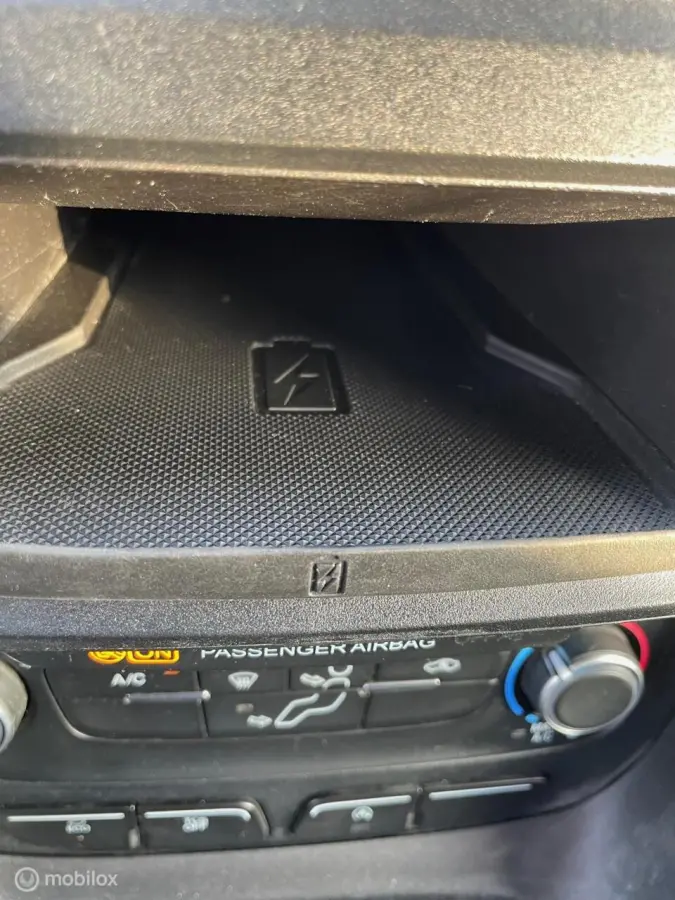 1.0 Ecoboost L2 Ambiente 6-Bak Lichtmetaal Nw TYPE PDC Camera Etc