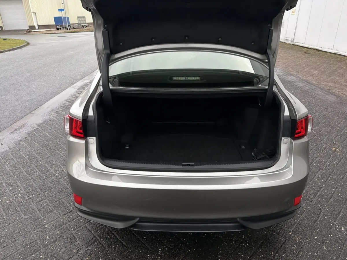 300h F Sport - LEVINSON/NAVI/STOELKOEL/CAMERA/NAP