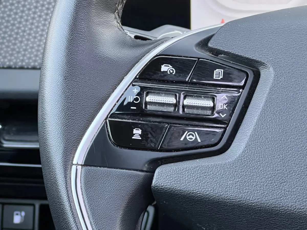 Plus Advanced 77.4 kWh|97% Soh|Opendak|ACC|Memory|Carplay|Cam|Navi|Dealer Oh