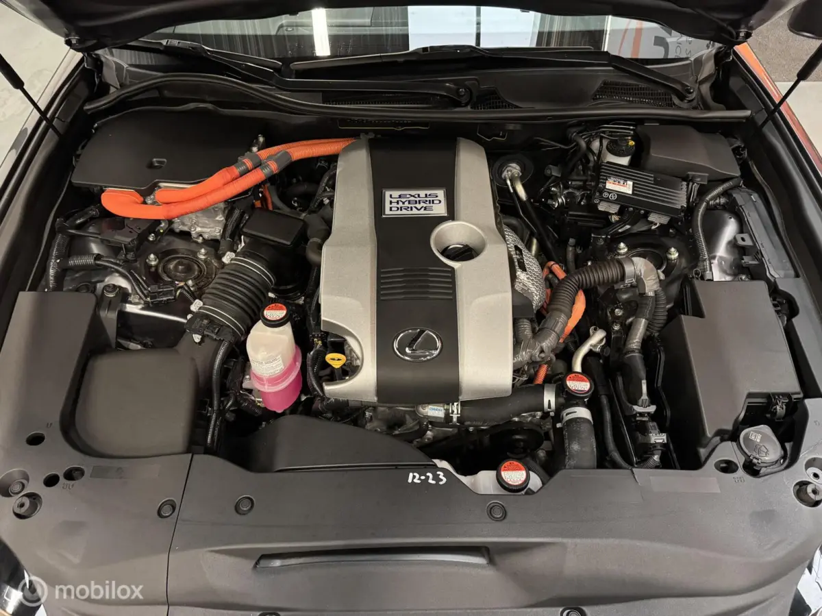 300h Luxury Line Leer|Schuifdak|NL-Auto!