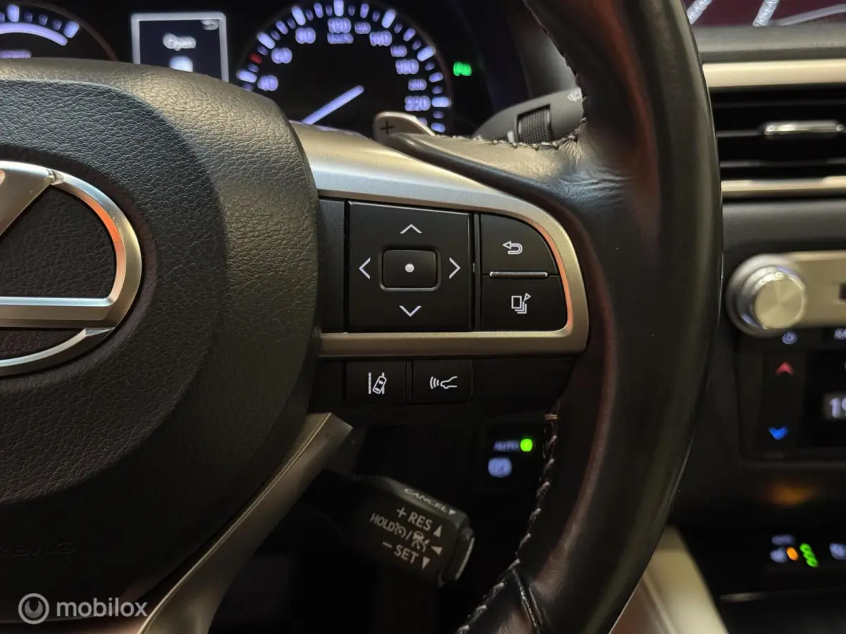 300h Luxury Line Leer|Schuifdak|NL-Auto!