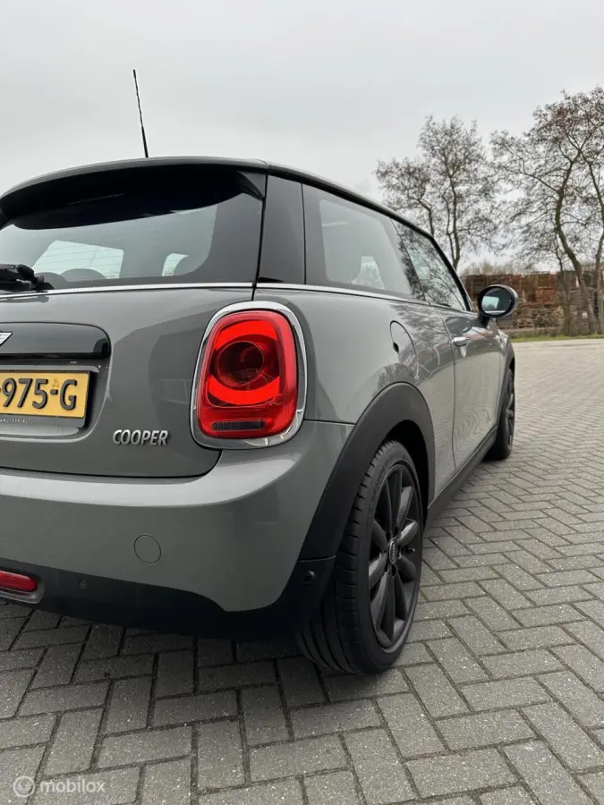 Mini 1.5 Marylebone