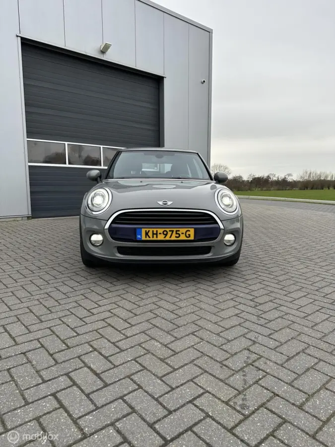 Mini 1.5 Marylebone