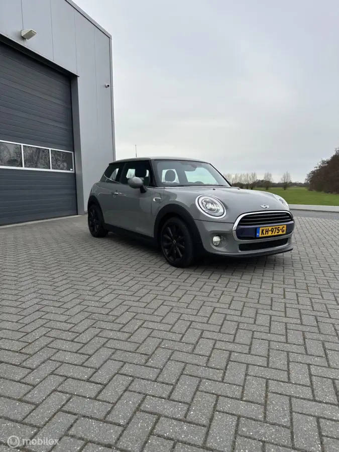 Mini 1.5 Marylebone