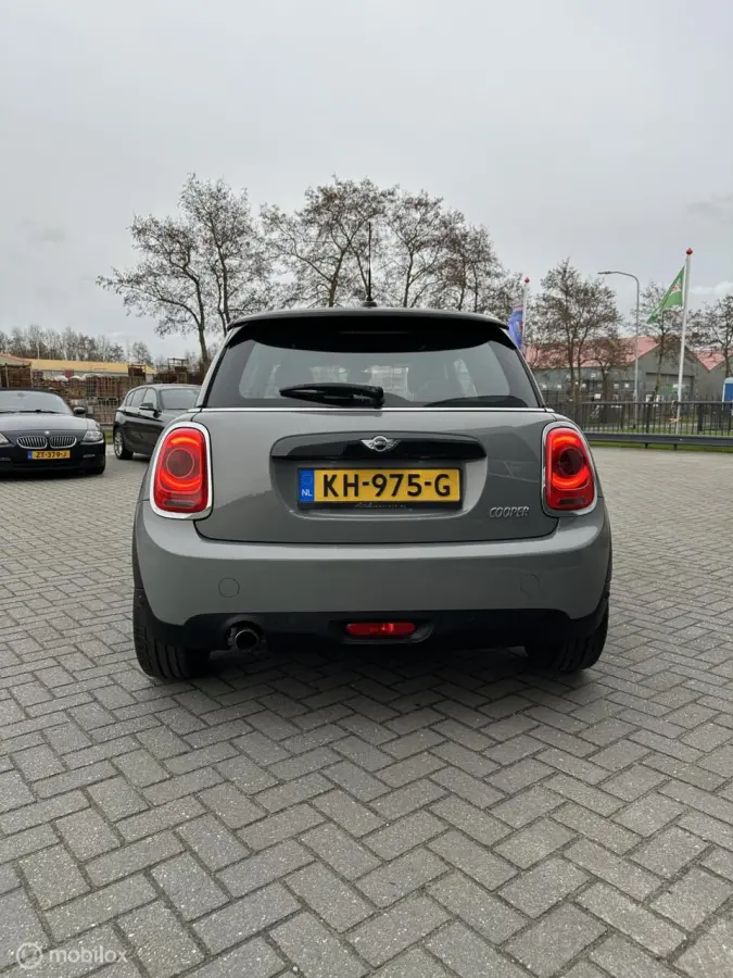 Mini 1.5 Marylebone