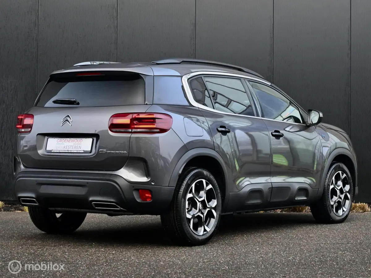 1.6 Plug-in Hybrid 225pk Max