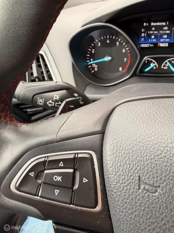 1.5 EcoBoost ST Line Automaat Dak 4x4