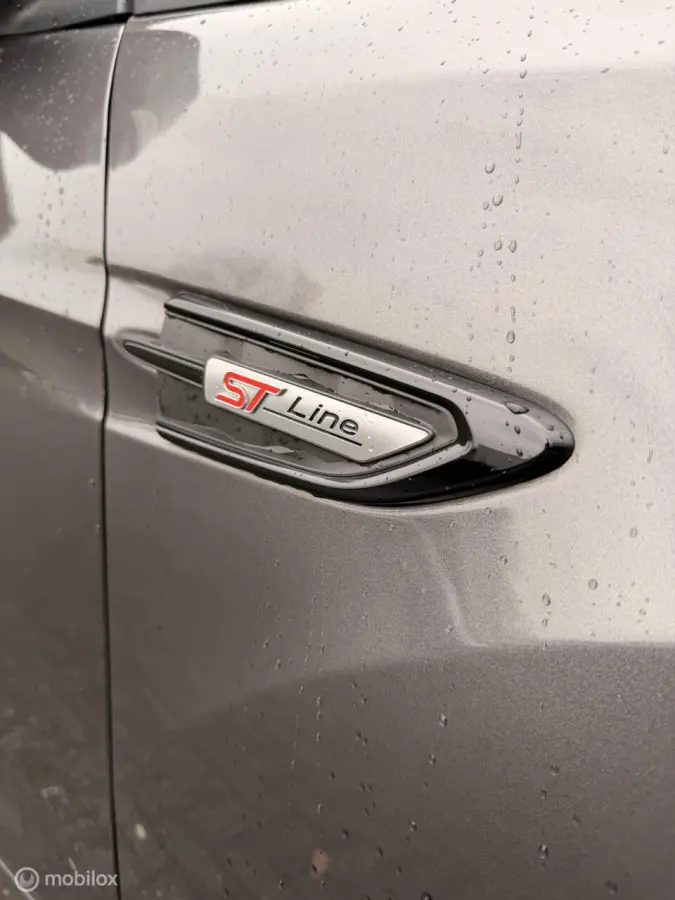 1.5 EcoBoost ST Line Automaat Dak 4x4