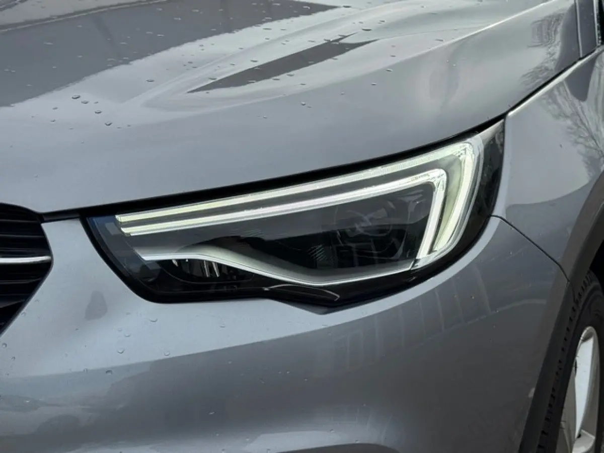 1.6 Turbo Hybrid Business Elegance met Navi/360-Camera, All Season, AGR, Elektrische A.Klep