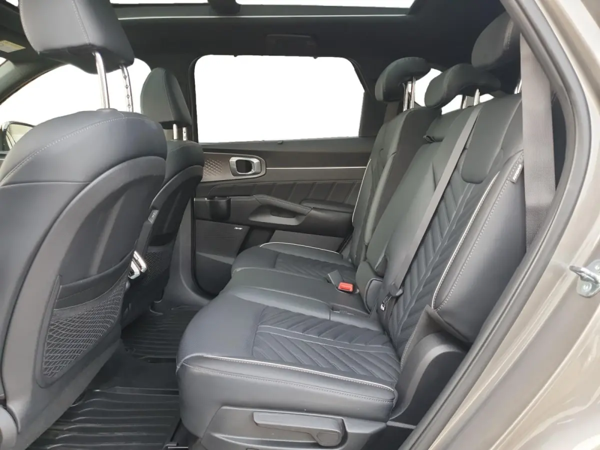 1.6 T-GDi Plug-in Hybrid 4WD ExecutiveLine 7p | Black Pack | Stoel verwarming en ventilatie | Panorama schuifdak | Sidebars | Lichtmetalen velgen 21inch | Lederen bekleding | Elektrisch bedi