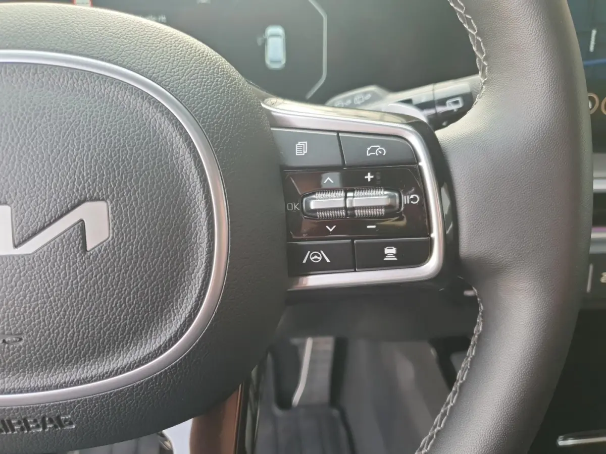 1.6 T-GDi Plug-in Hybrid 4WD ExecutiveLine 7p | Black Pack | Stoel verwarming en ventilatie | Panorama schuifdak | Sidebars | Lichtmetalen velgen 21inch | Lederen bekleding | Elektrisch bedi