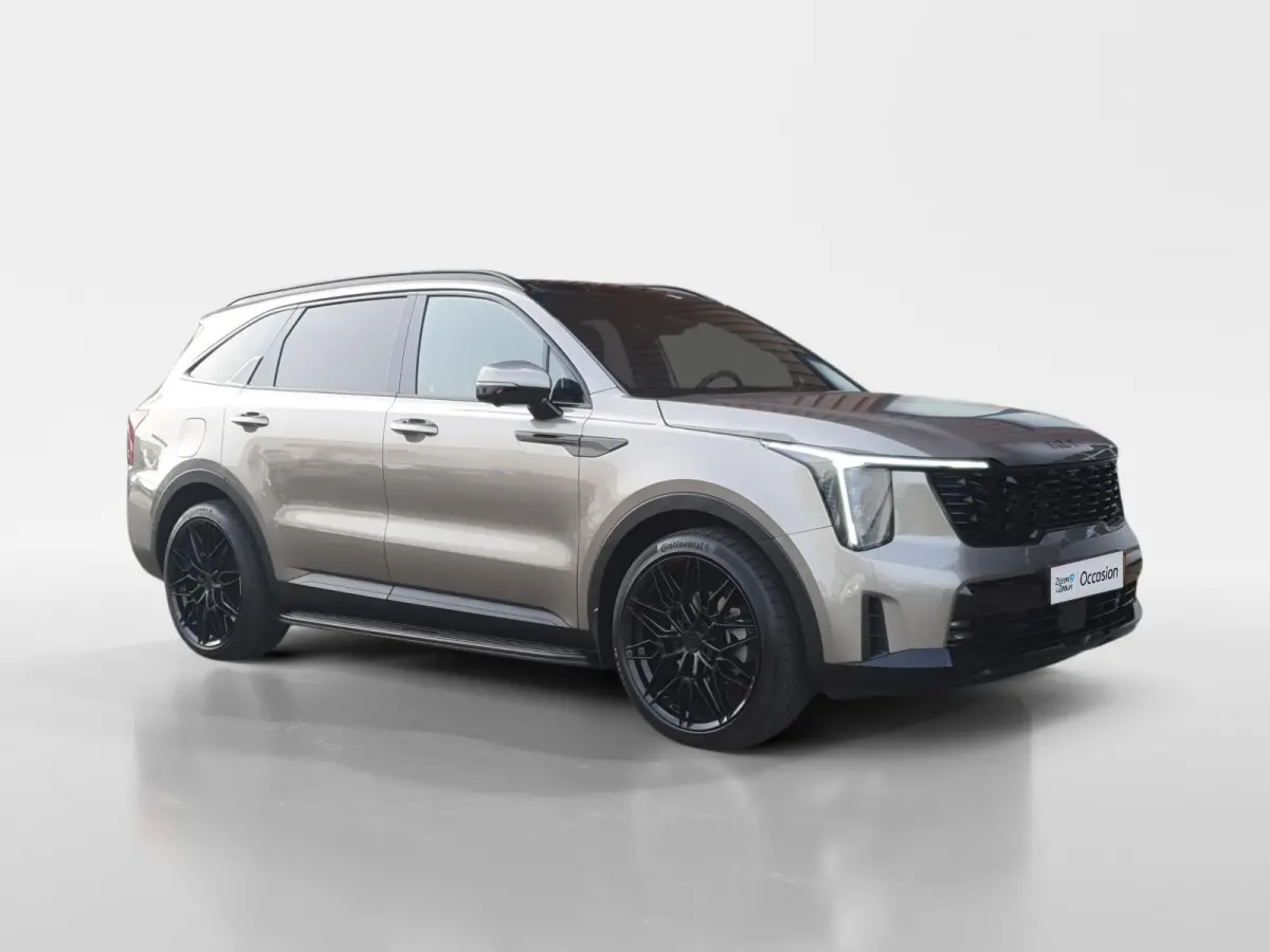 1.6 T-GDi Plug-in Hybrid 4WD ExecutiveLine 7p | Black Pack | Stoel verwarming en ventilatie | Panorama schuifdak | Sidebars | Lichtmetalen velgen 21inch | Lederen bekleding | Elektrisch bedi