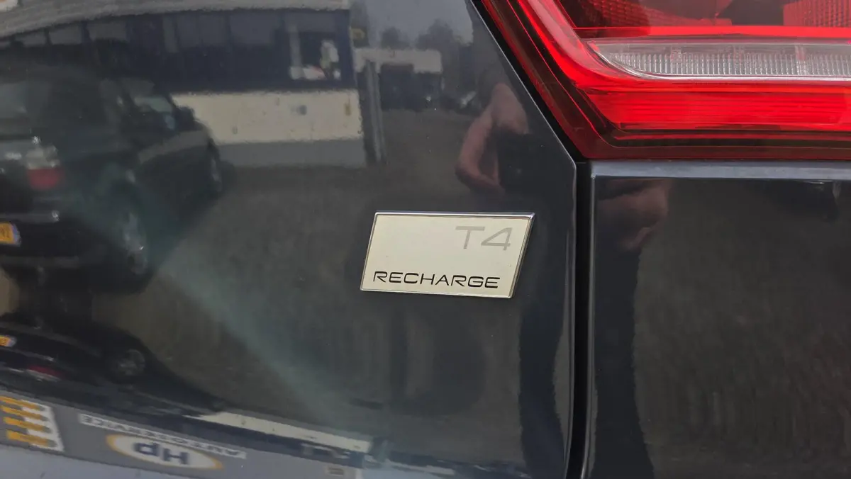 1.5 T4 Inscription Expression