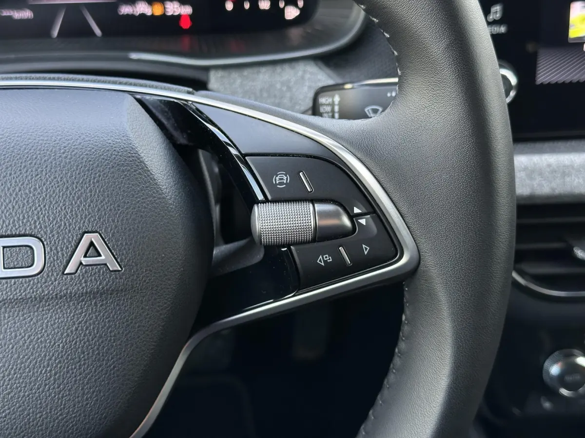 1.0 TSI Monte Carlo | Apple Carplay-Android/Camera/Keyless/Cruise Control