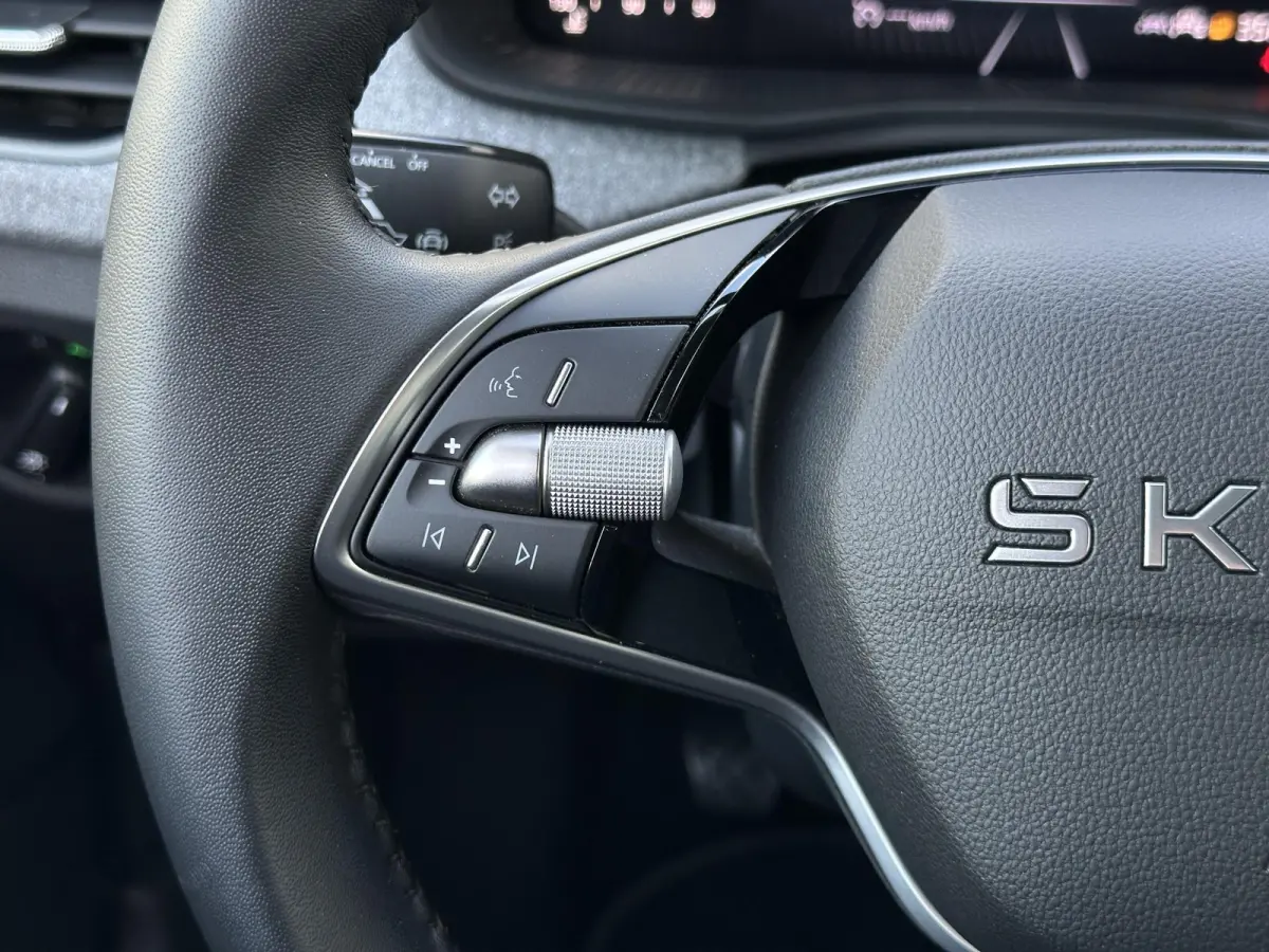 1.0 TSI Monte Carlo | Apple Carplay-Android/Camera/Keyless/Cruise Control