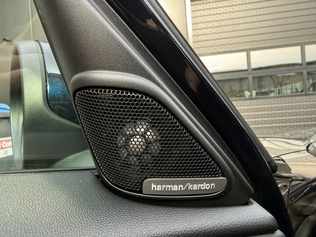 2.0 Cooper SE ALL4 Pano/Leder/H&K/Camera/elec stoel