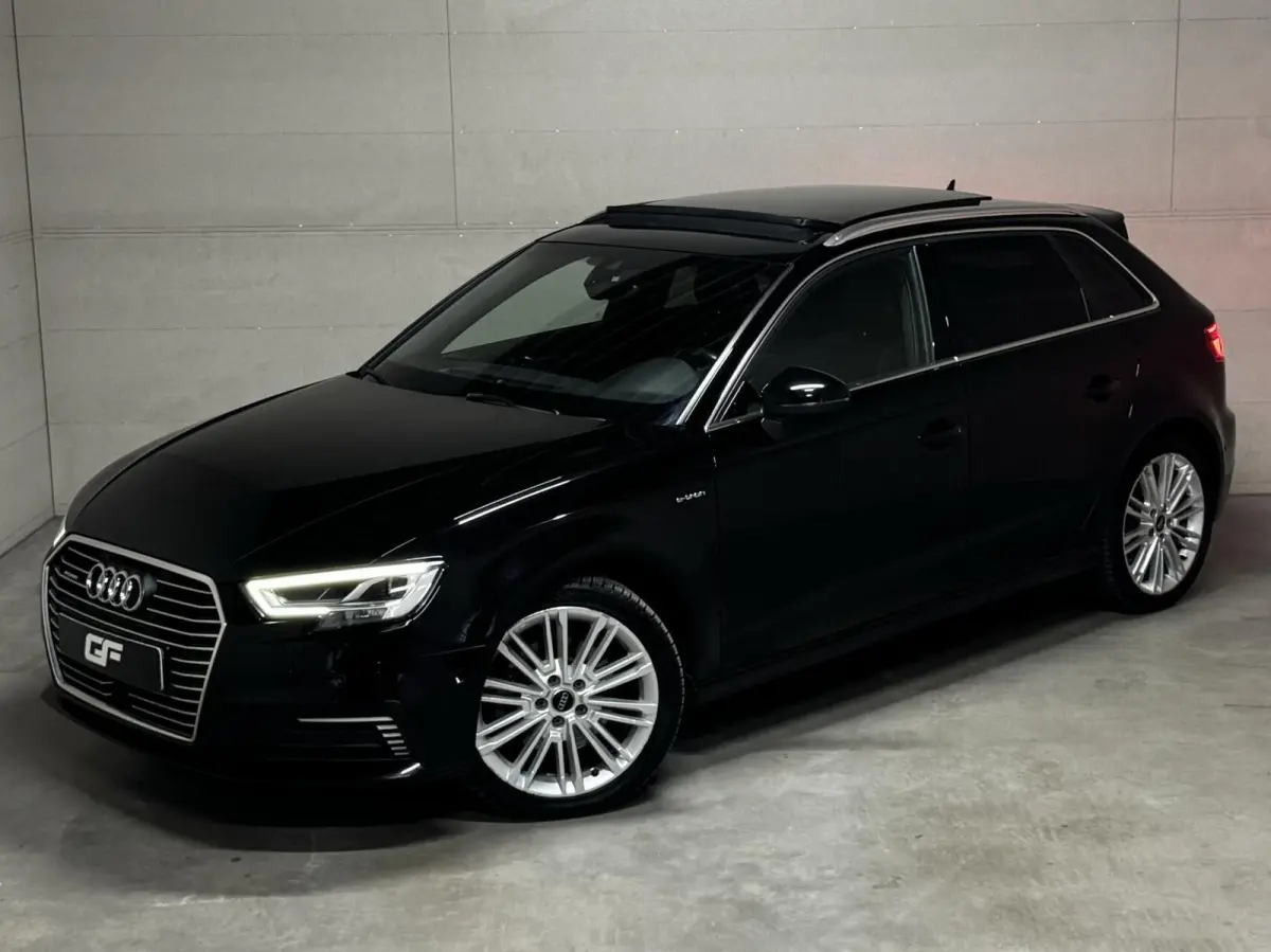 1.4 e-tron Pano Virtual ACC DSG PDC NAP