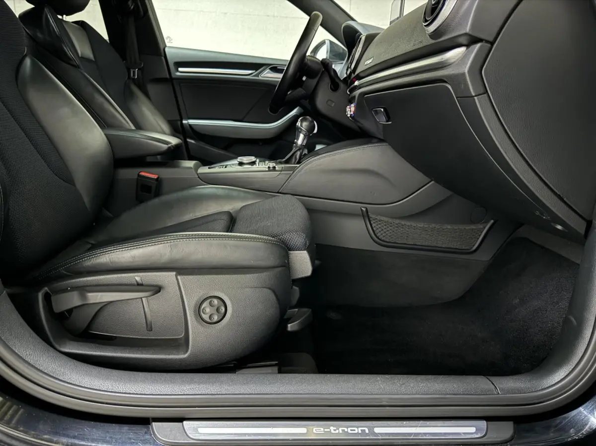 1.4 e-tron Pano Virtual ACC DSG PDC NAP