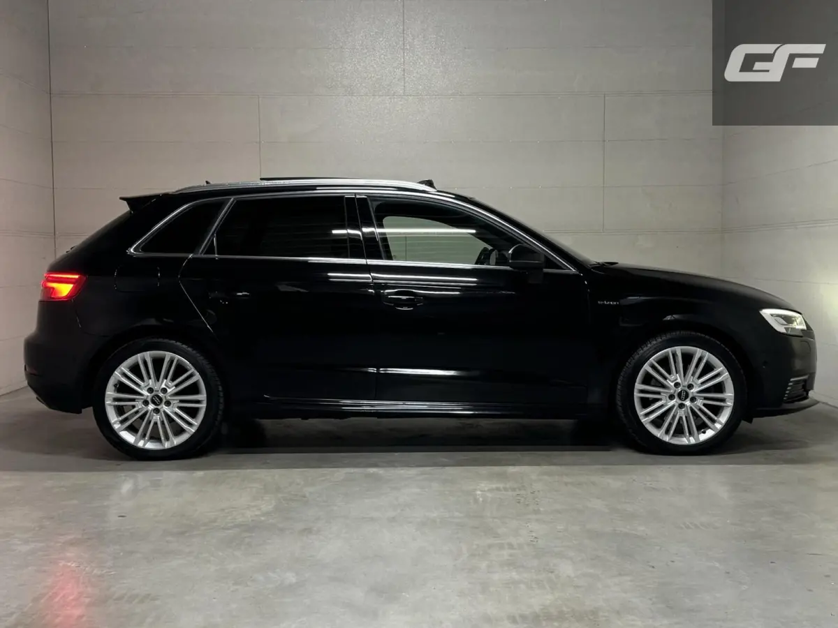 1.4 e-tron Pano Virtual ACC DSG PDC NAP