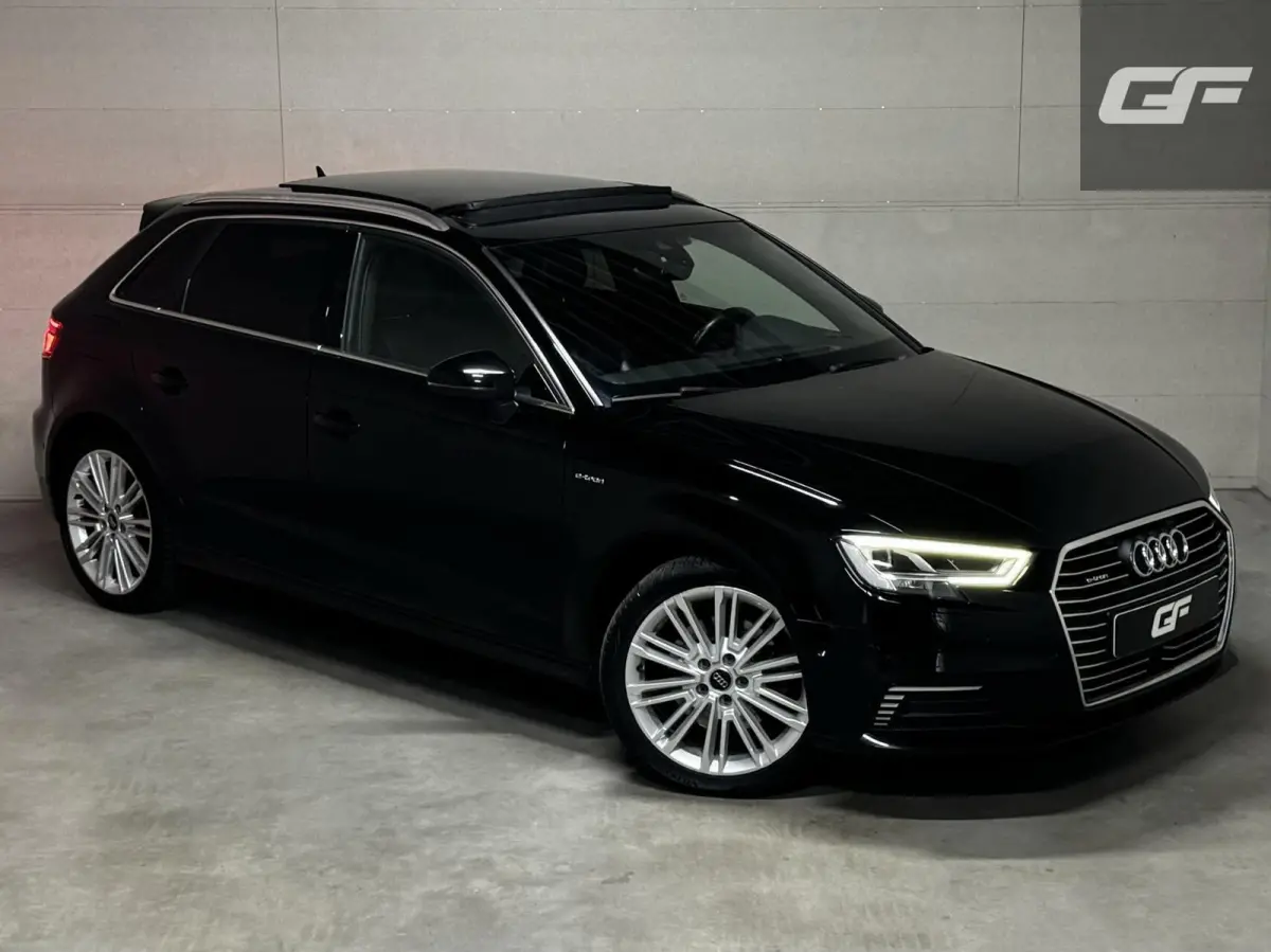 1.4 e-tron Pano Virtual ACC DSG PDC NAP