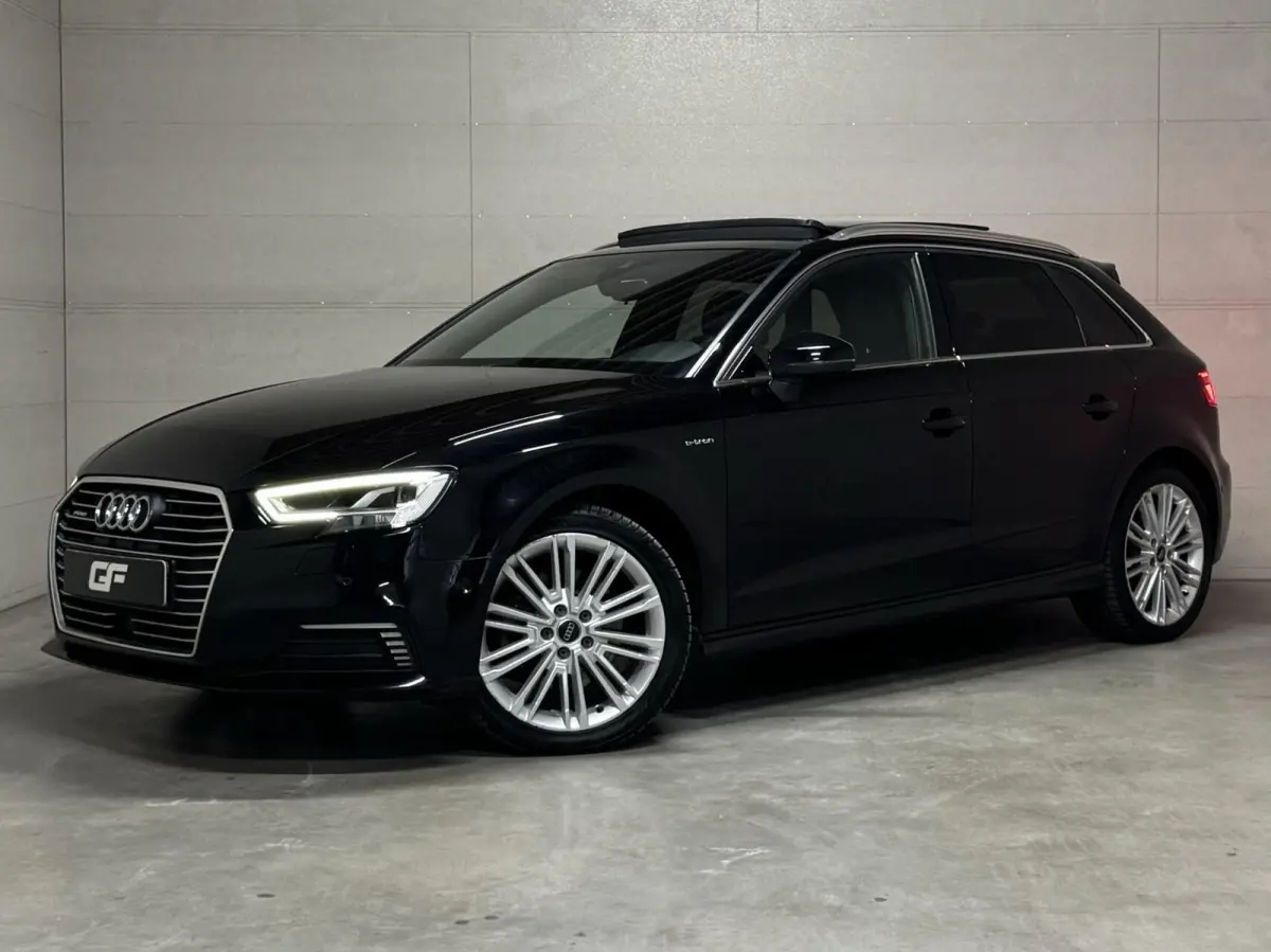 1.4 e-tron Pano Virtual ACC DSG PDC NAP
