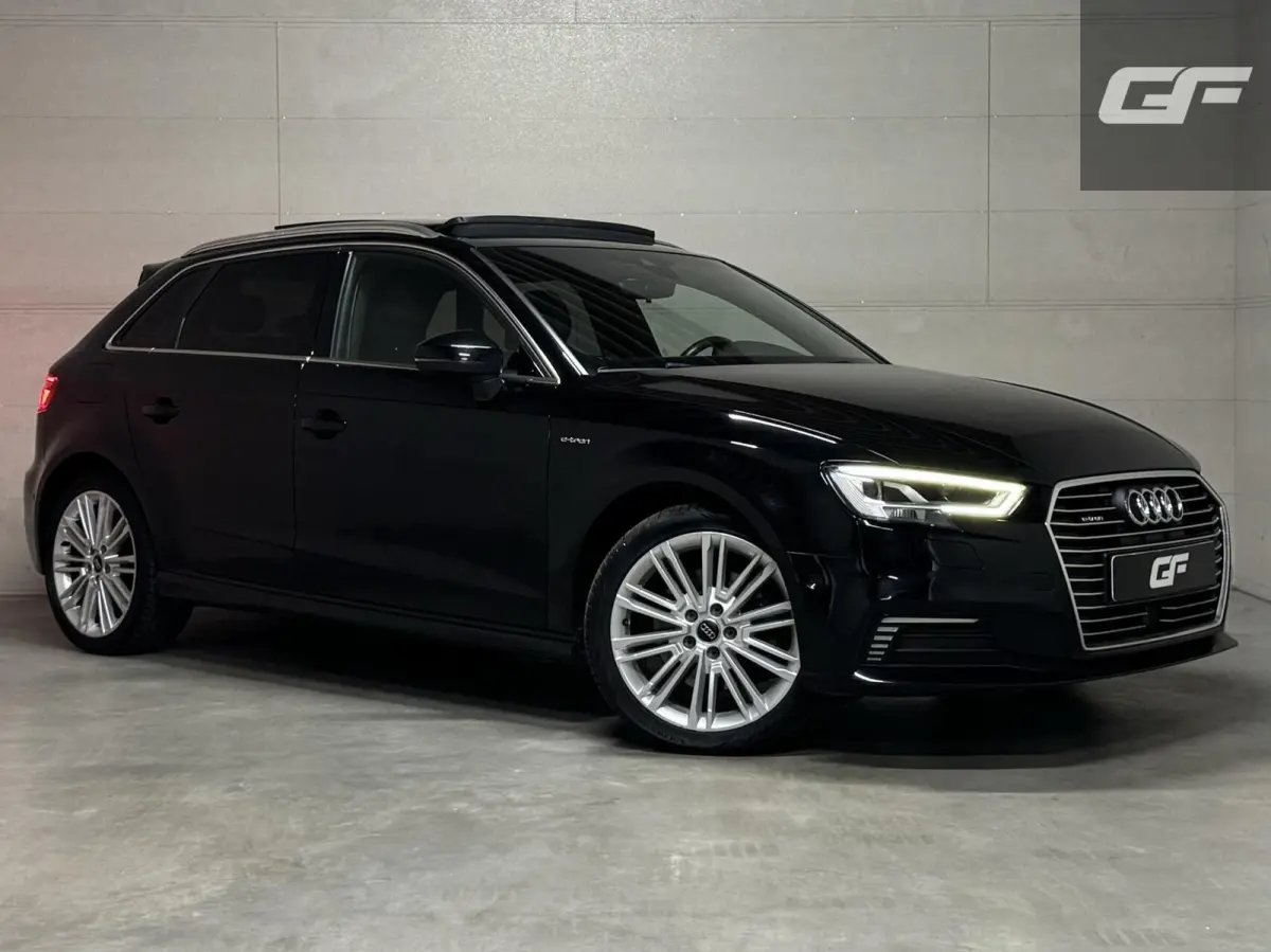 1.4 e-tron Pano Virtual ACC DSG PDC NAP
