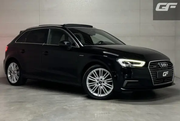 1.4 e-tron Pano Virtual ACC DSG PDC NAP
