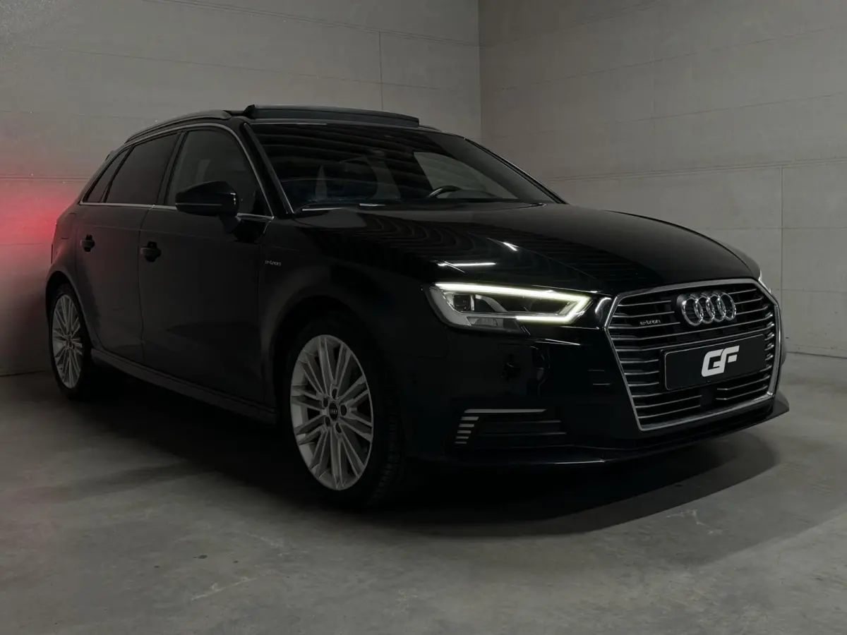 1.4 e-tron Pano Virtual ACC DSG PDC NAP