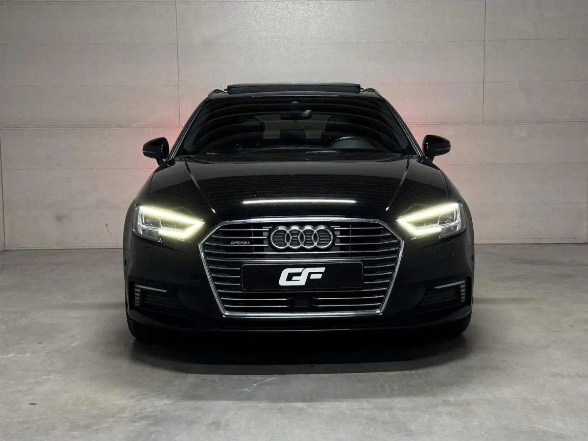 1.4 e-tron Pano Virtual ACC DSG PDC NAP