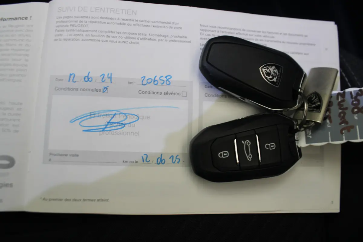 1.2 PureTech Active Pack Business