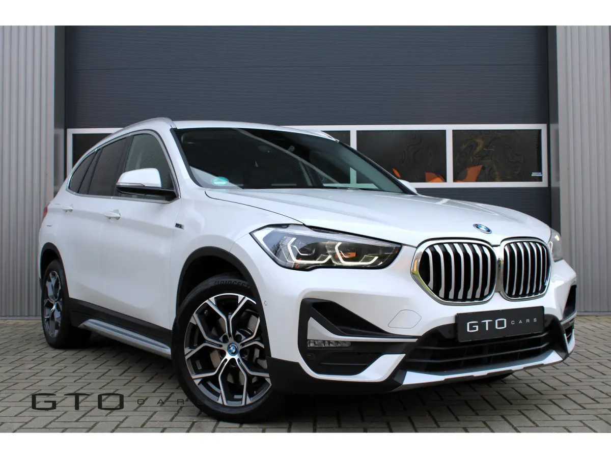 xDrive25e | LED | Getint Glas | Camera | Trekhaak