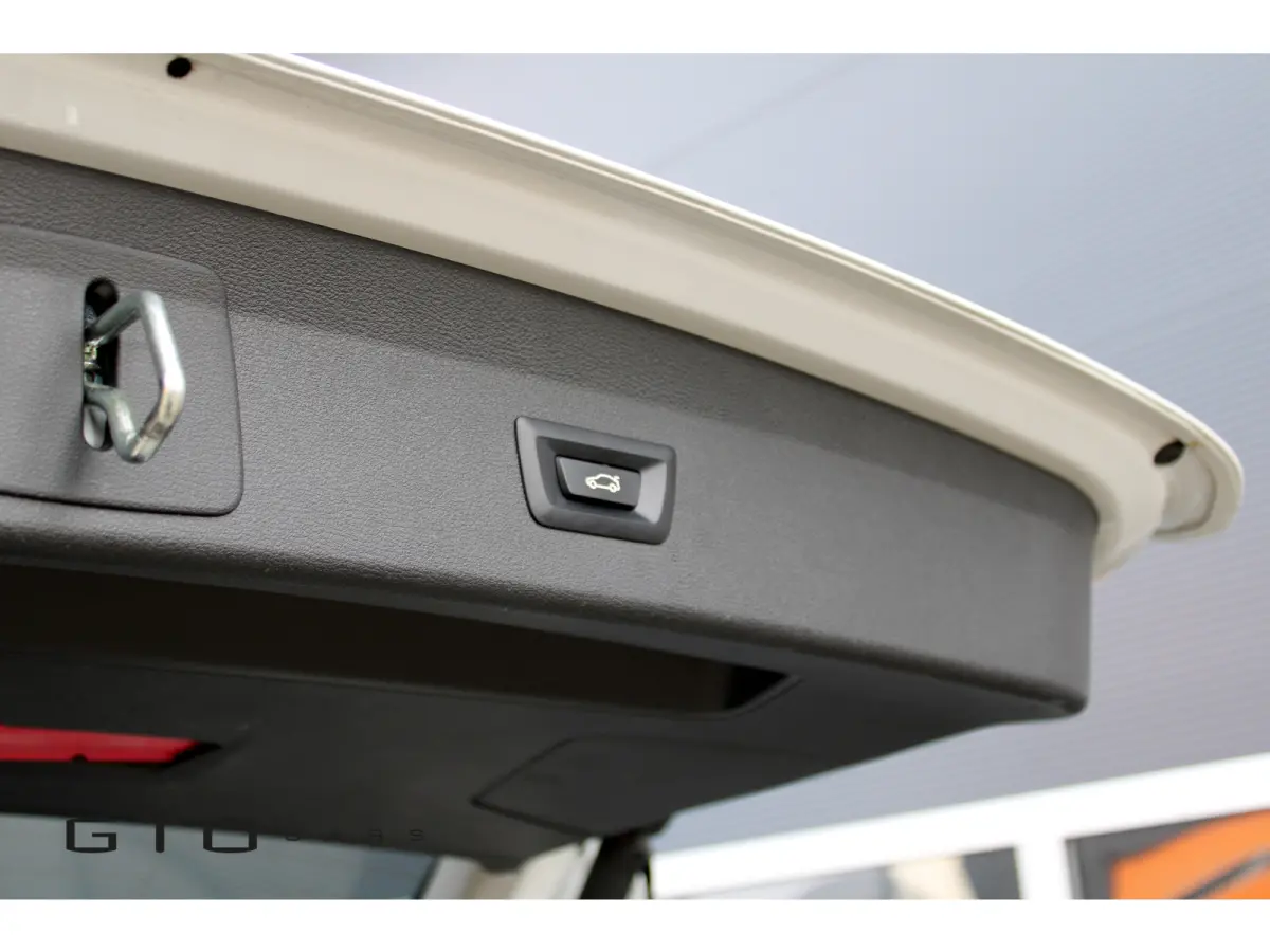 xDrive25e | LED | Getint Glas | Camera | Trekhaak