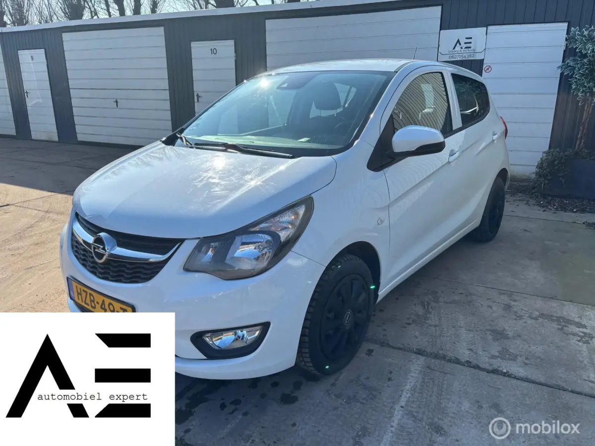 1.0 ecoFLEX Edition/AUTOMaat/PDC/Stoelverwarming