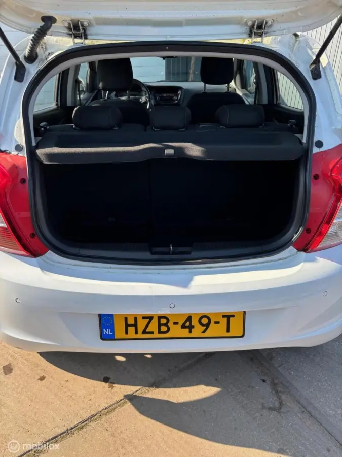 1.0 ecoFLEX Edition/AUTOMaat/PDC/Stoelverwarming