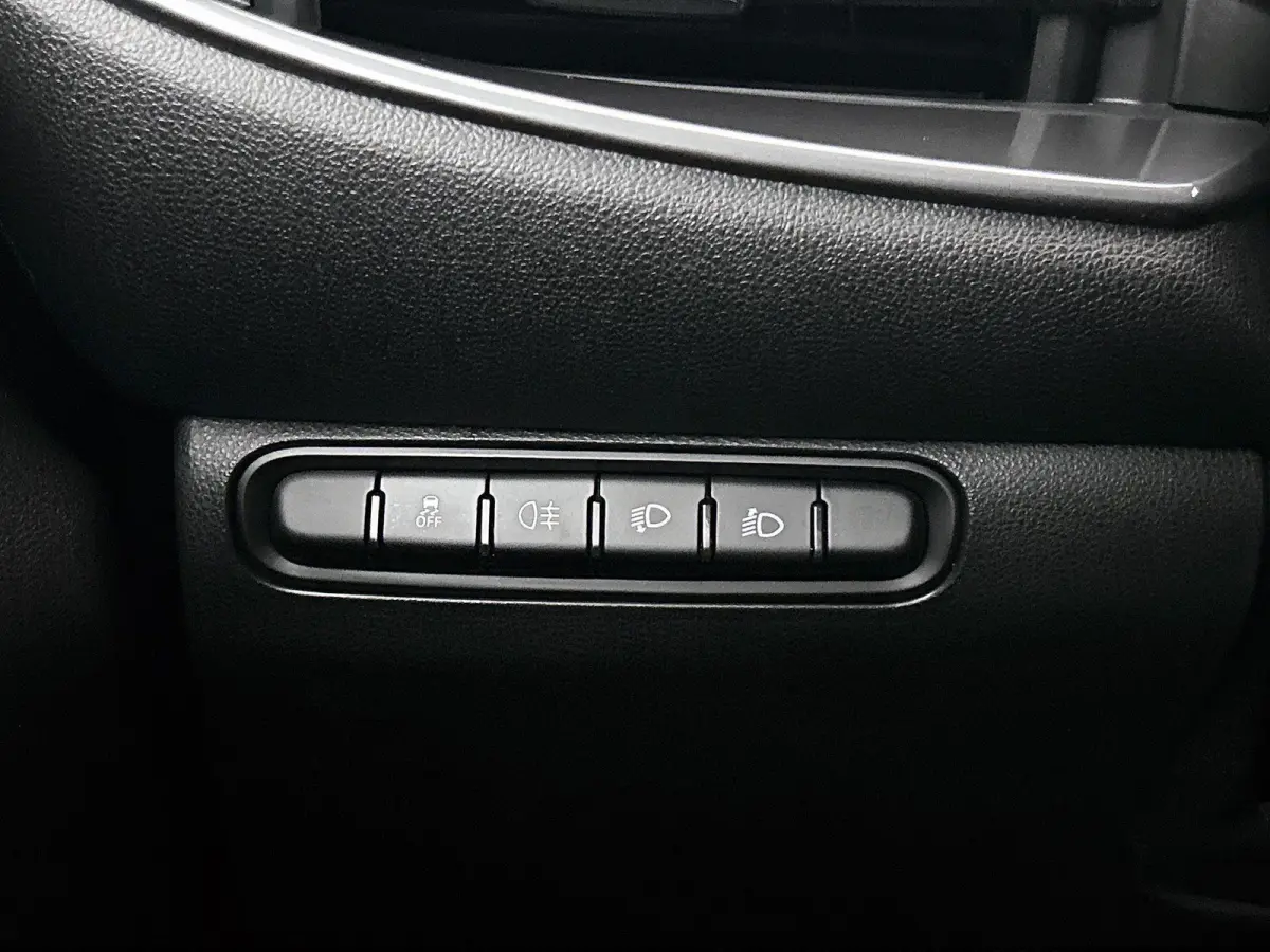 1.0 Hybrid Torino Launch Edition