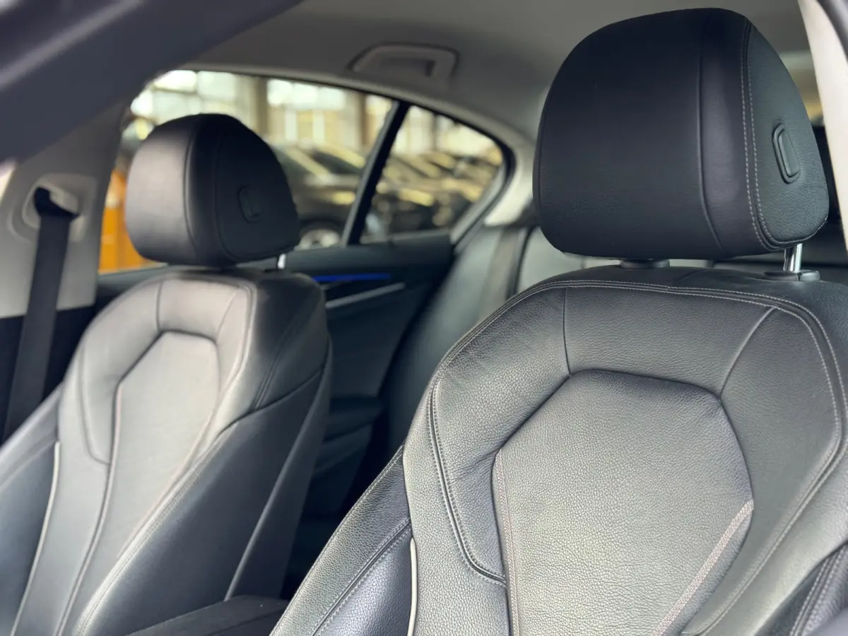 530i Executive LUXURY 2017 NAVI LEDER CLIMA NAP!