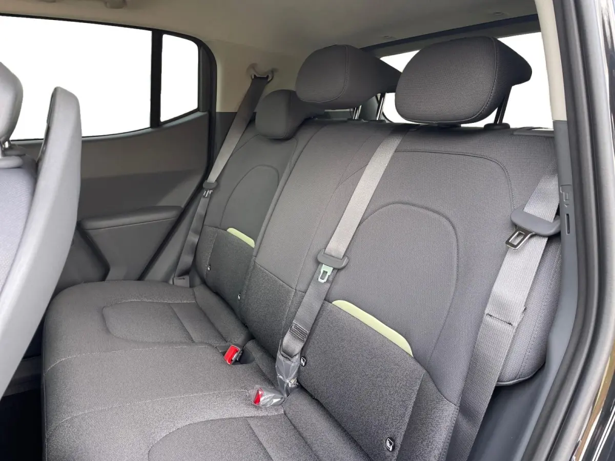 Plus Advanced 42.2 kWh | NIEUW MODEL | nu te bestellen! | 308 km actieradius | Harman Kardon geluidssysteem | schuif/kantel dak | NU met €3000 inruilpremie!