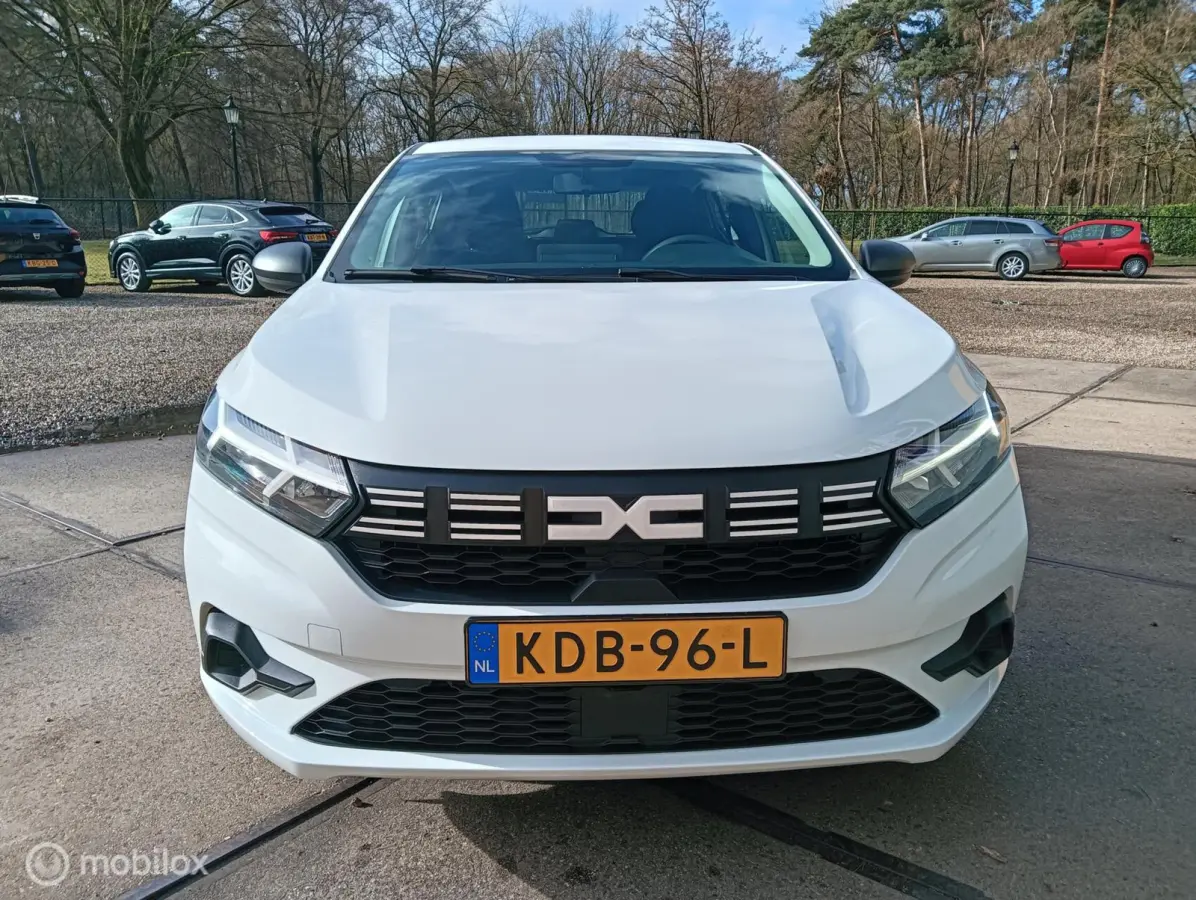 1.0 TCe 90 LED/CarPlay/PDC/4seiz.banden