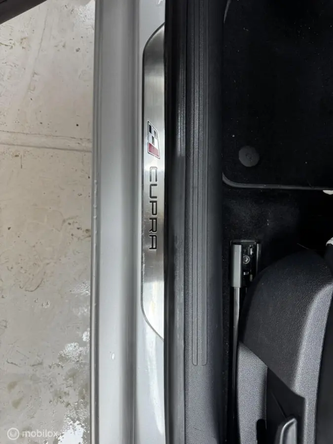 cupra 2.0 TSI DSG| Panorama | schaalstoelen| Grijs