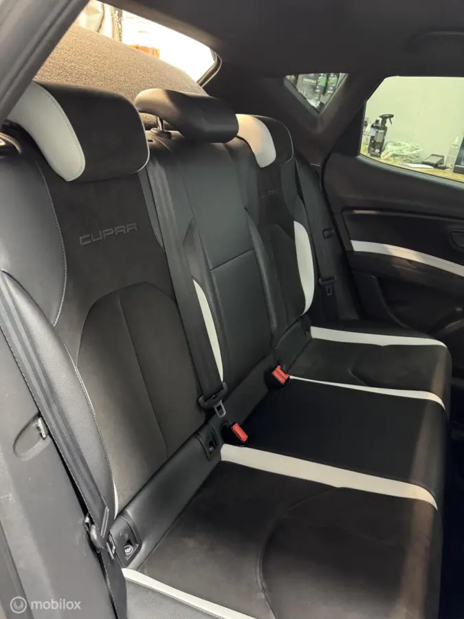 cupra 2.0 TSI DSG| Panorama | schaalstoelen| Grijs