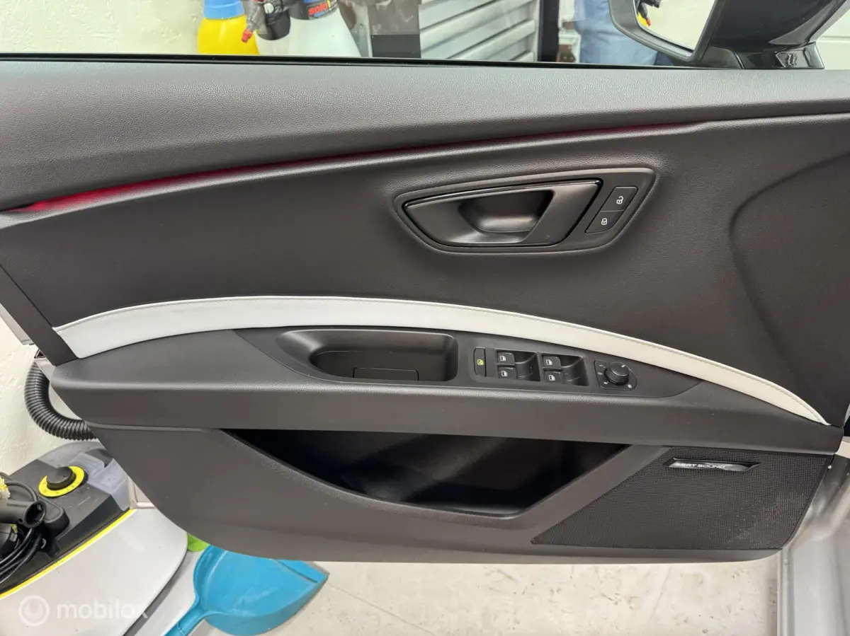 cupra 2.0 TSI DSG| Panorama | schaalstoelen| Grijs