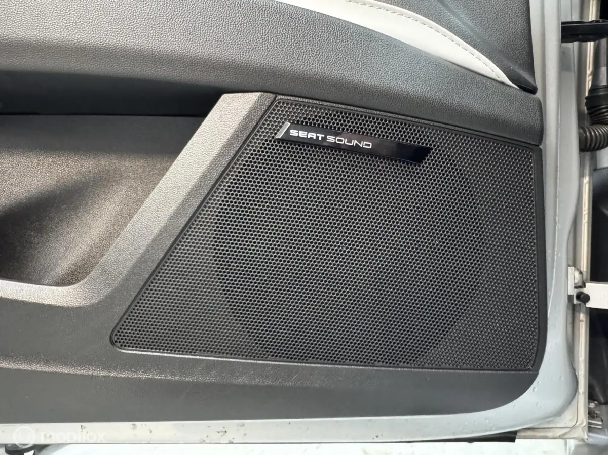 cupra 2.0 TSI DSG| Panorama | schaalstoelen| Grijs