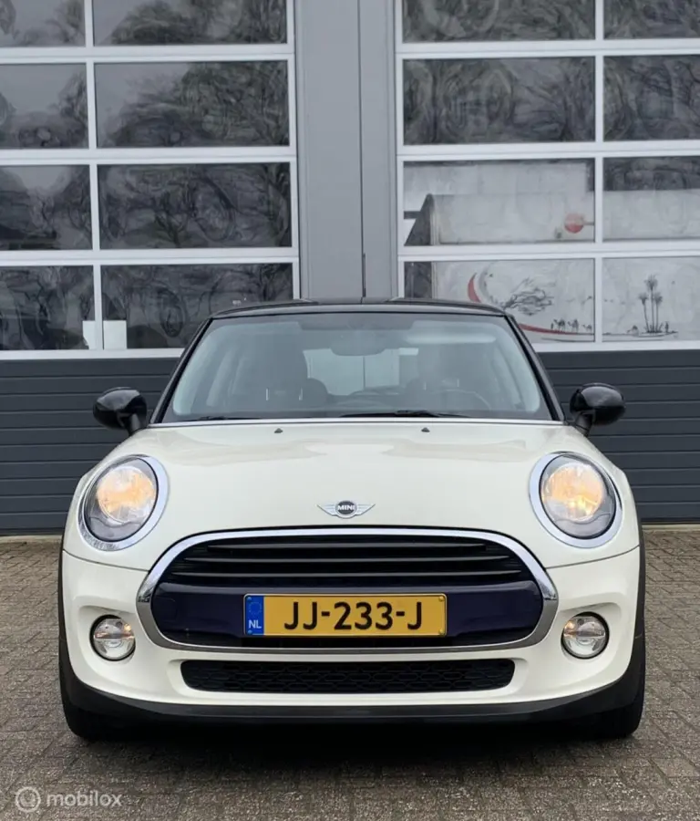 Mini 1.5 Chili Serious Business