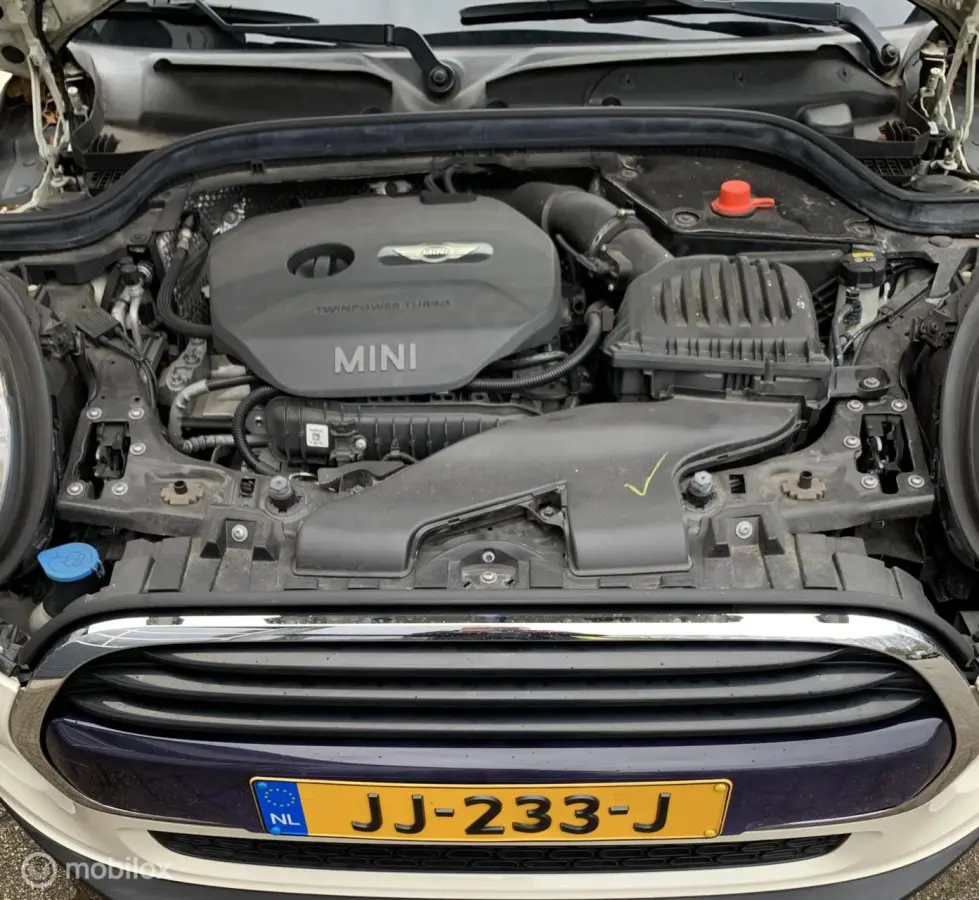 Mini 1.5 Chili Serious Business