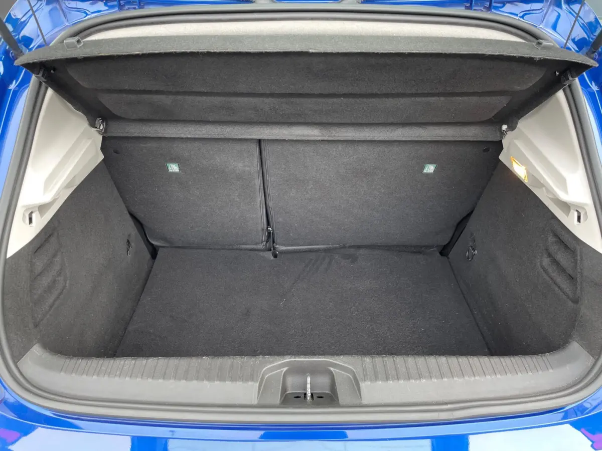 1.0 TCe Intens NIEUW MODEL/NL.Auto/Full Led/Carplay/Half-Leder/Climatronic/Dealer Onderhouden