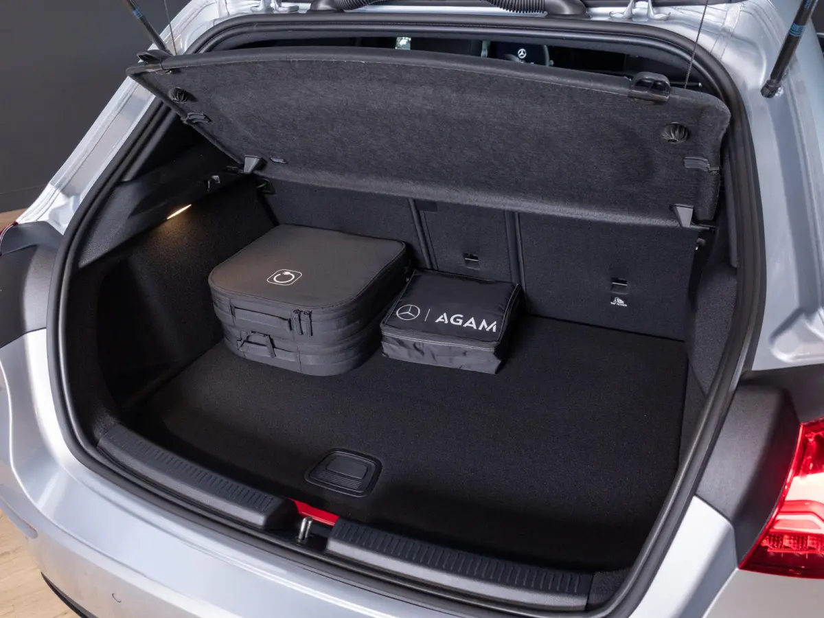 Hatchback 250 e Business Solution Luxury Panorama dak